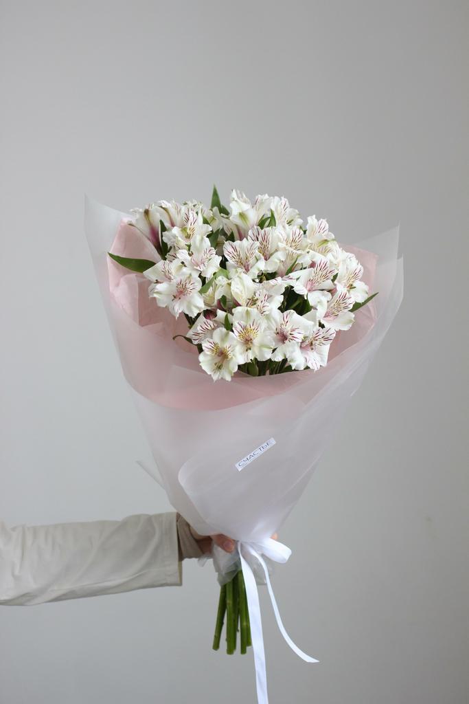 Моно альстромерия