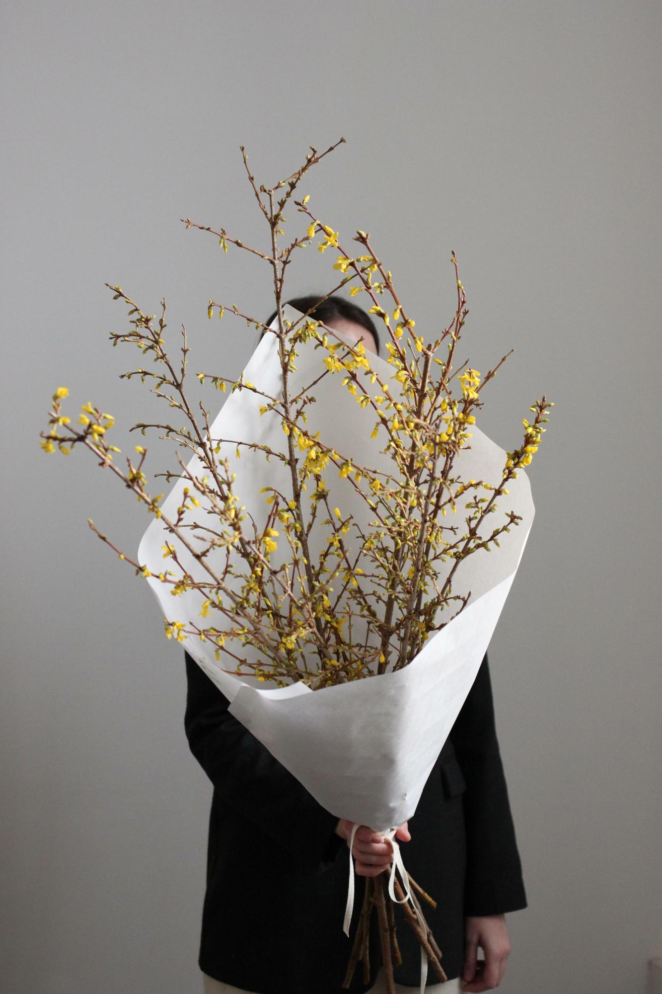 Моно форзиции