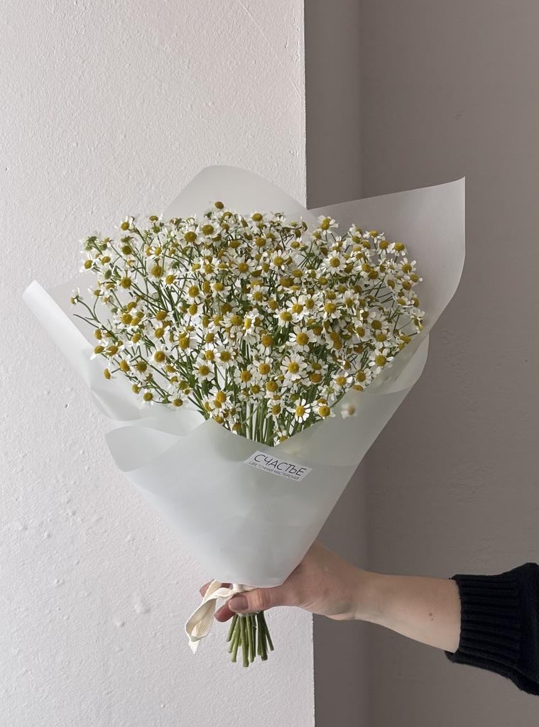 Кулек из ромашек