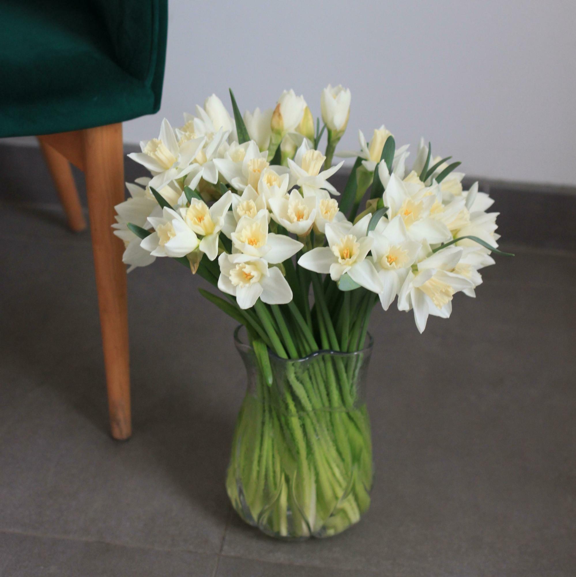 Моно нарциссов