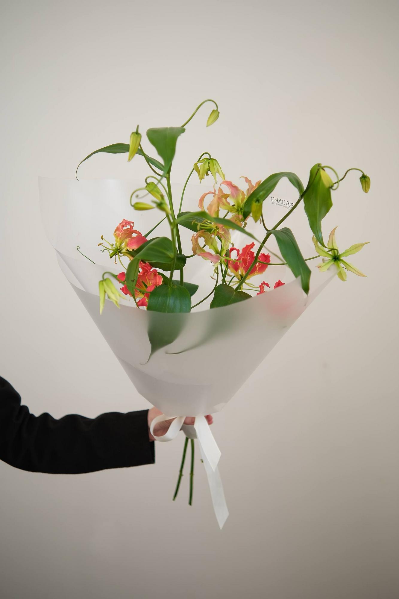 Моно глориозы