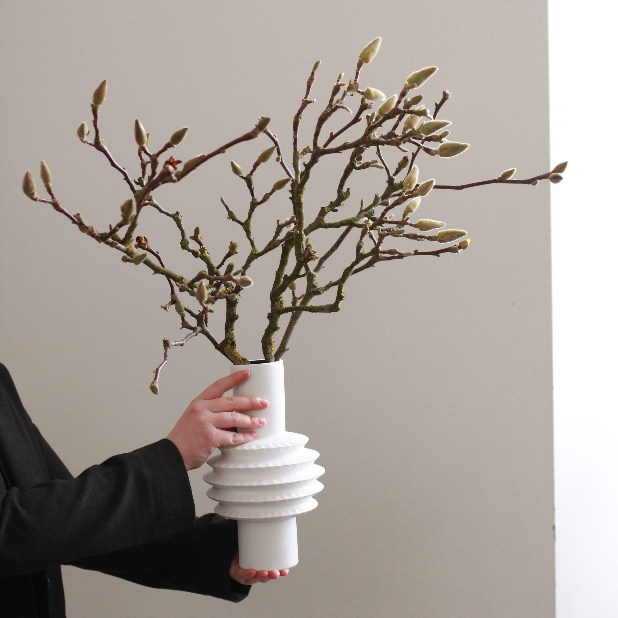 Моно интерьерной магнолии