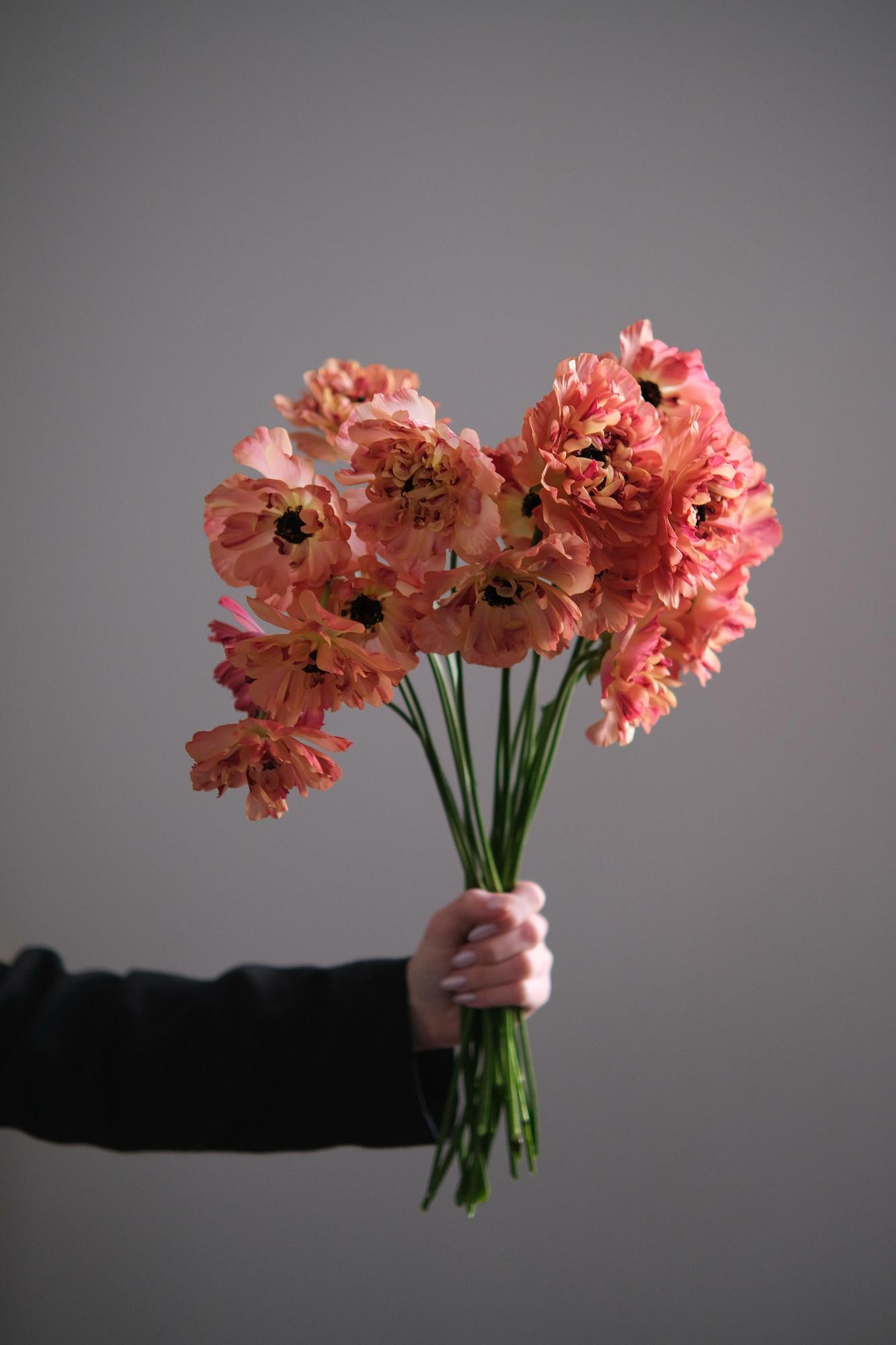 Моно Ранункулусов Шарлотта