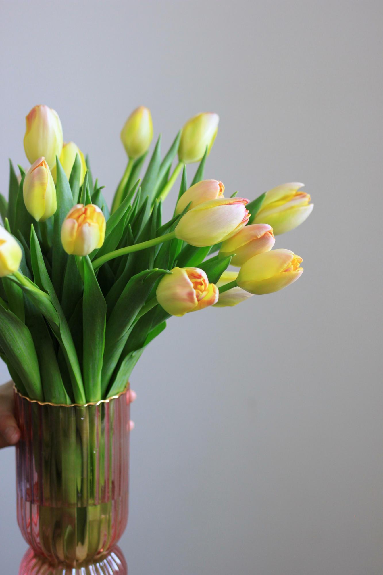 Букет вытянутых тюльпанов