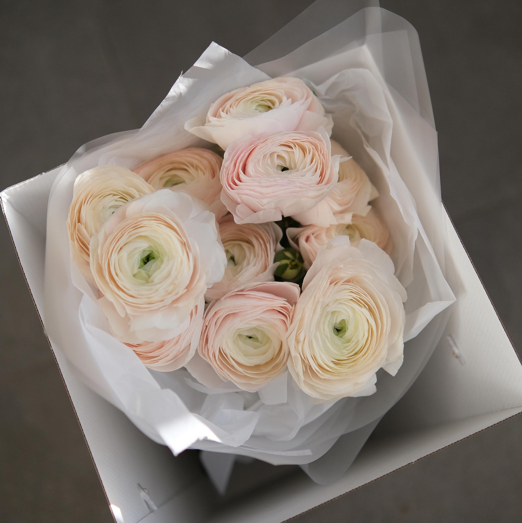 Самый нежный!