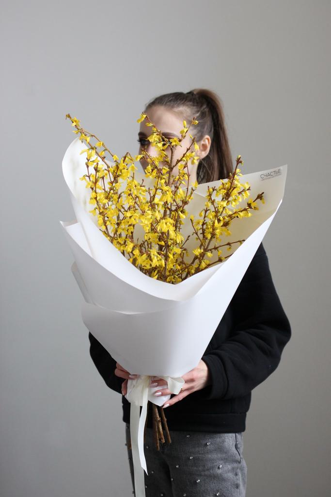 Моно цветущей форзиции