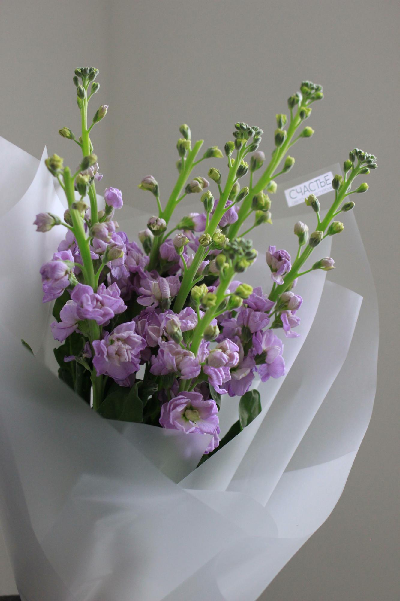 Моно маттиолы