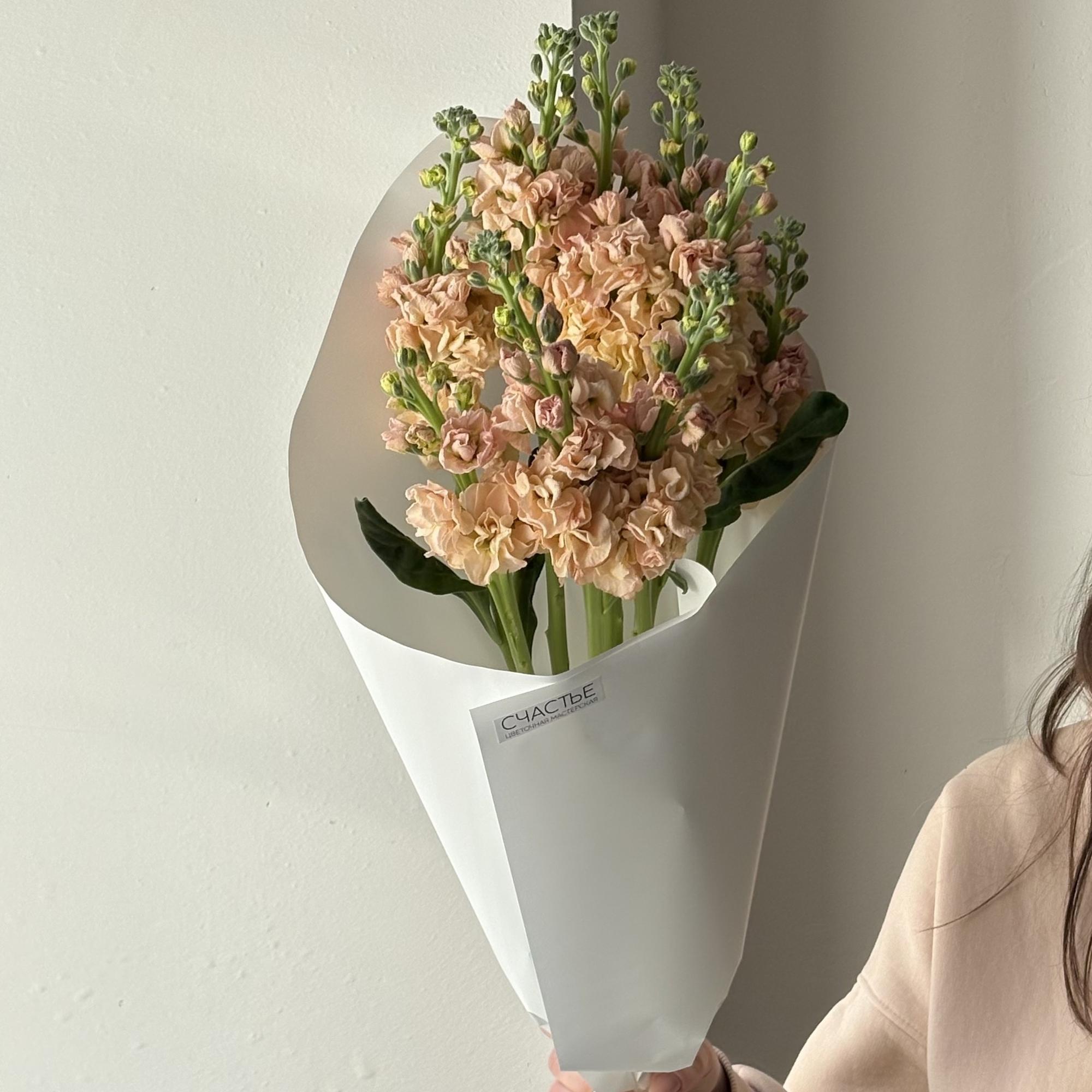 Моно маттиолы