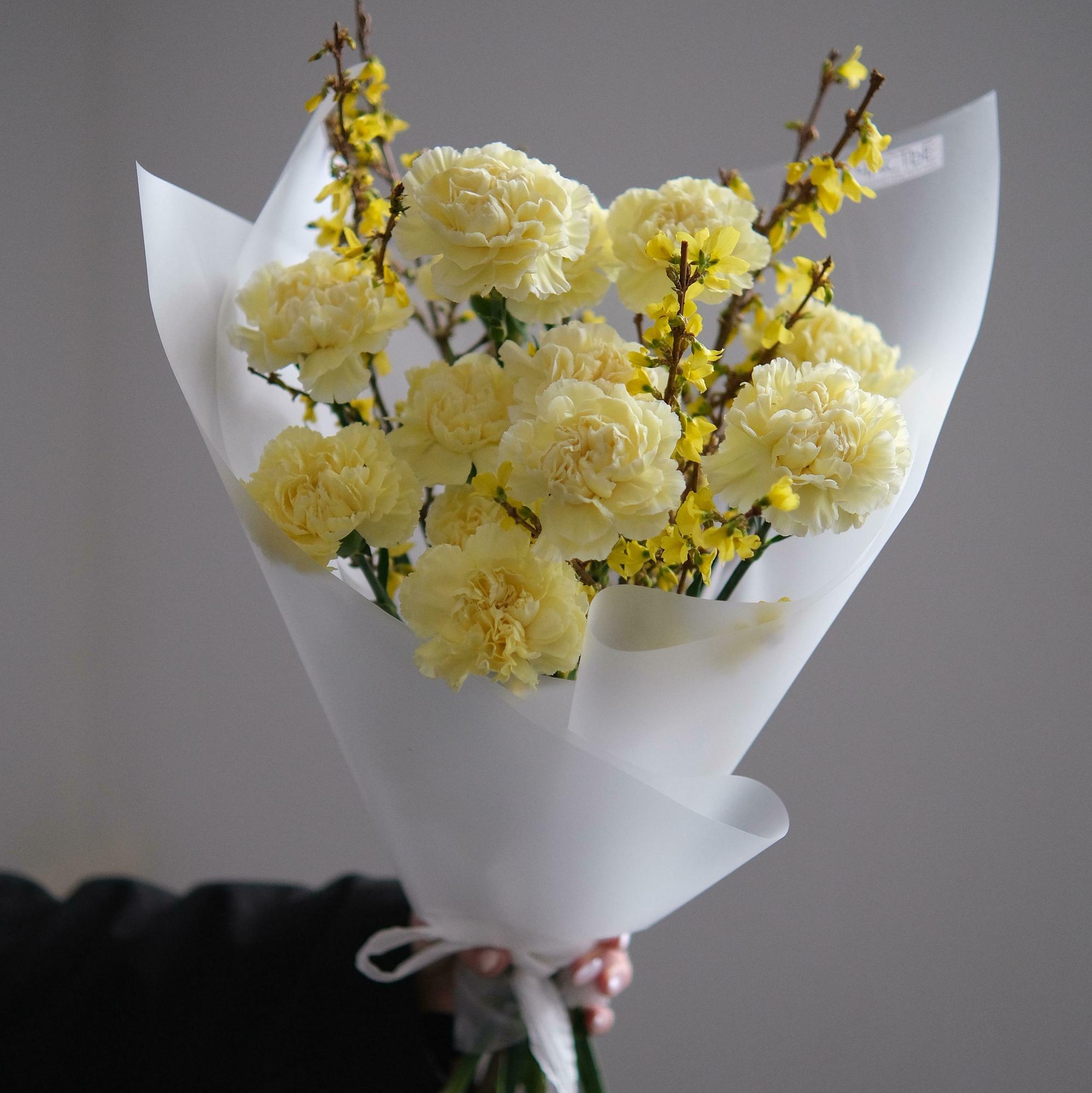 Форзиция и гвоздики