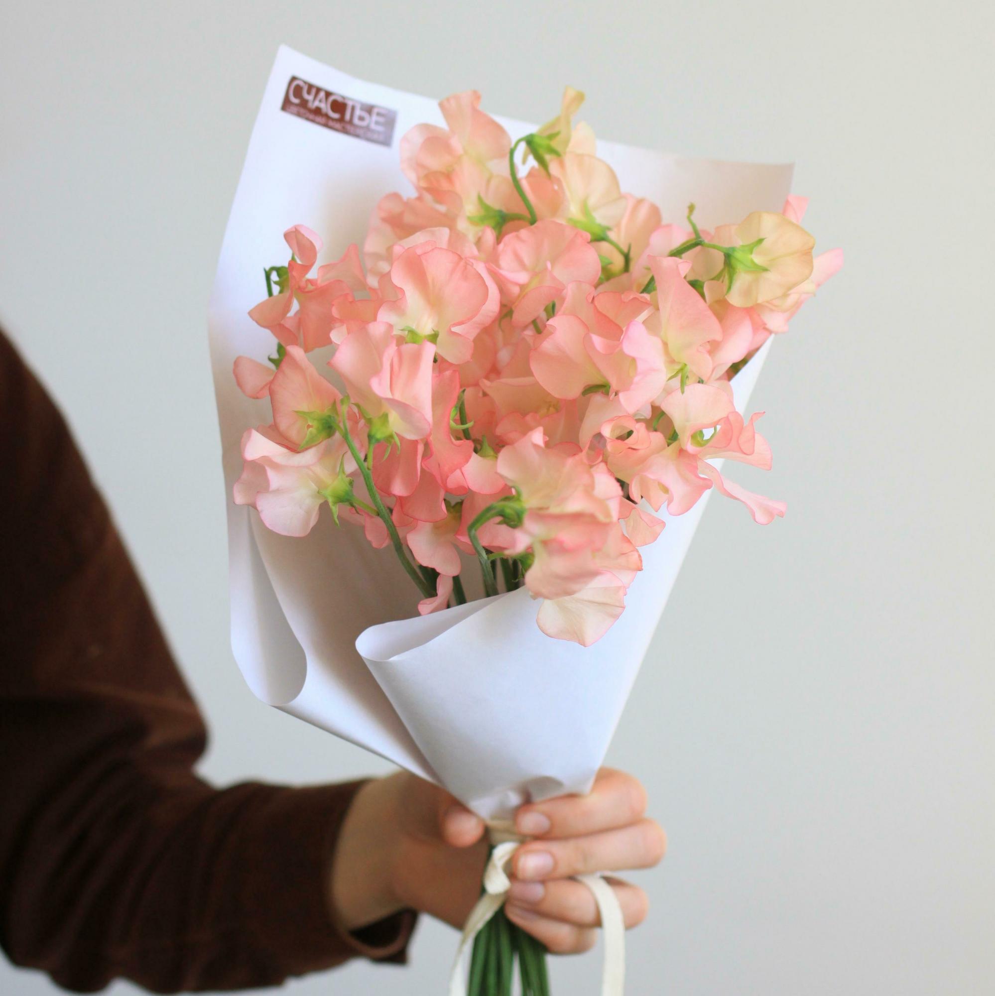 Моно Латируса