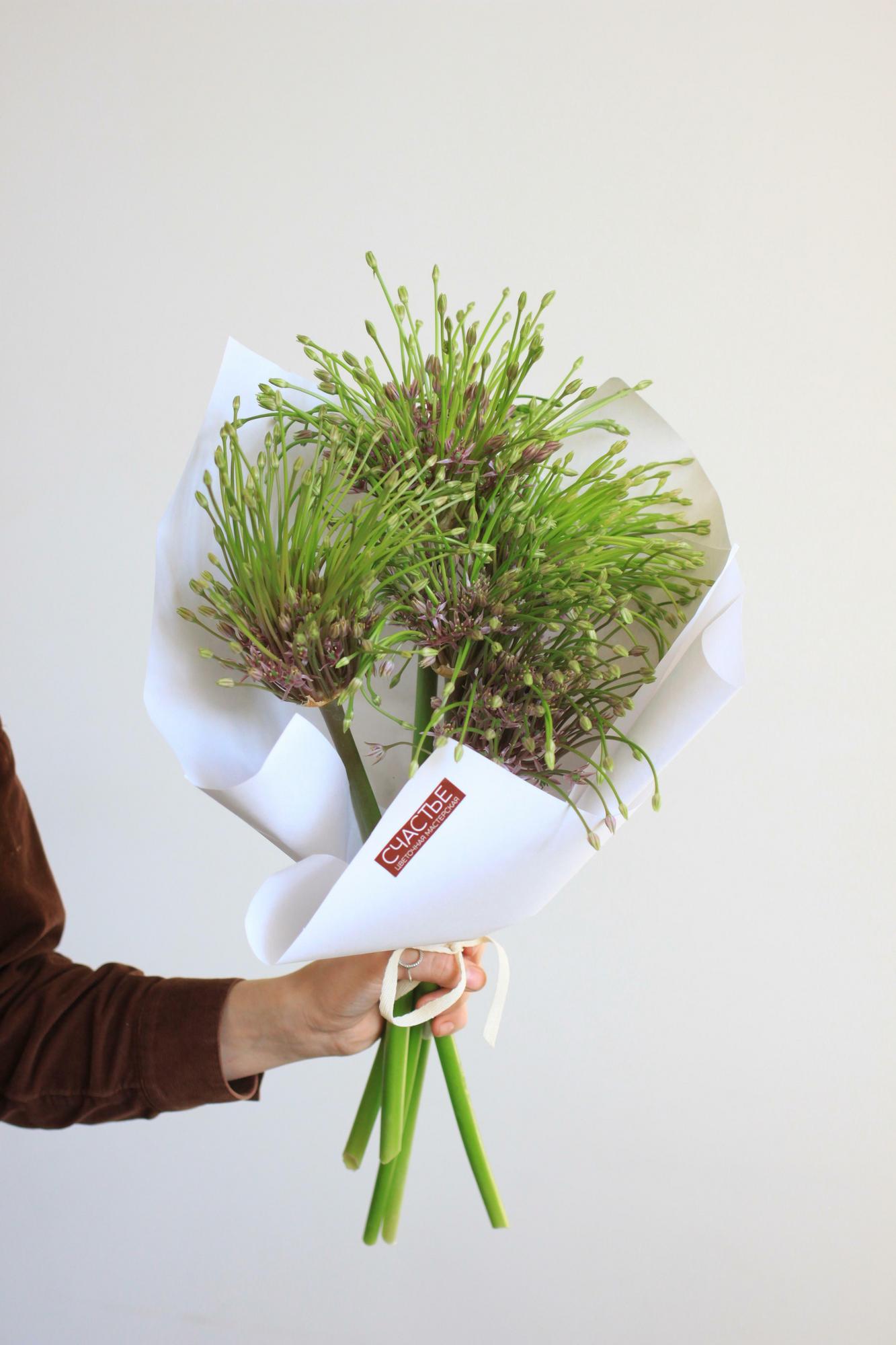 Аллиум Шуберт