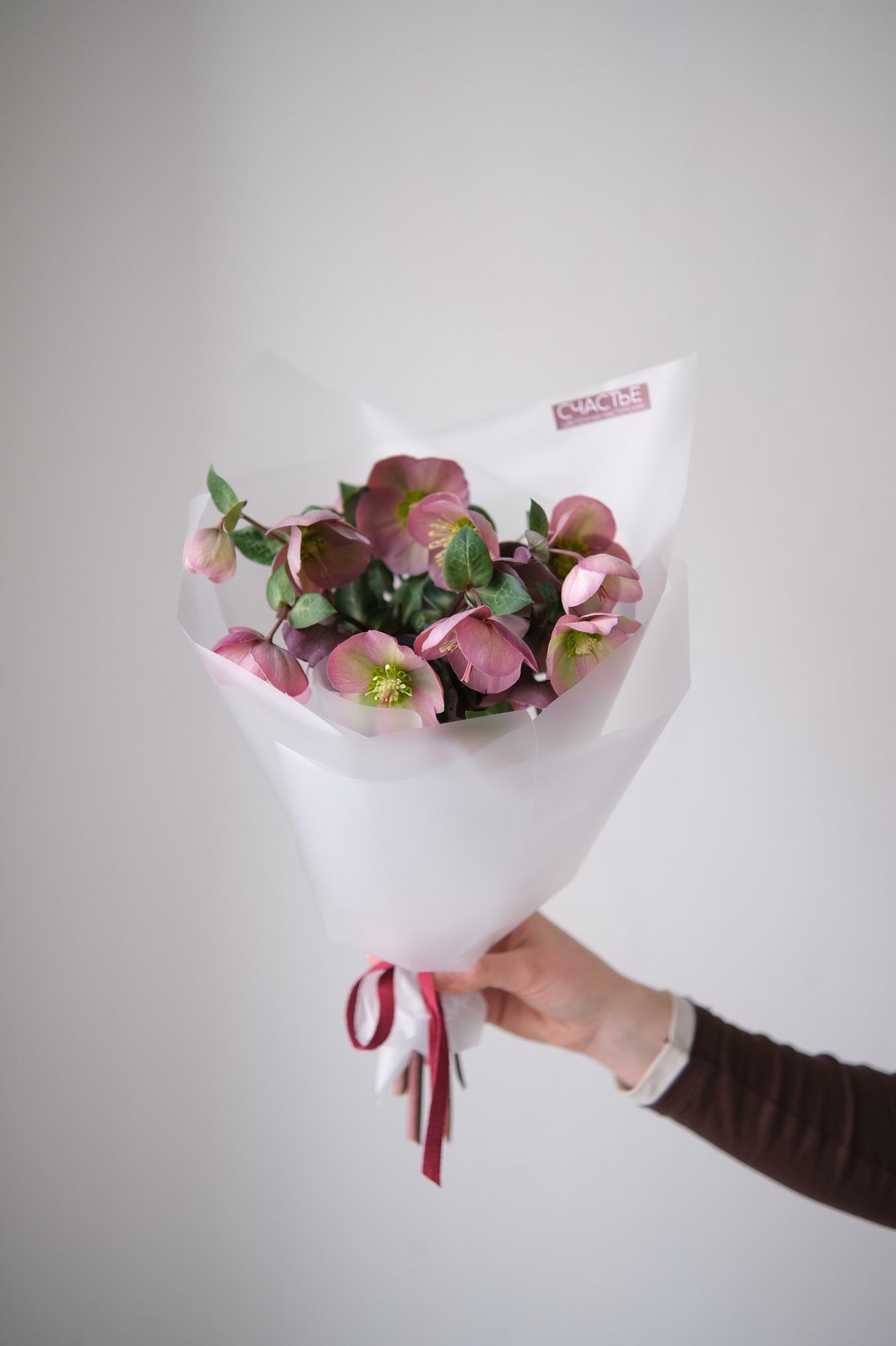 Моно хелеборуса