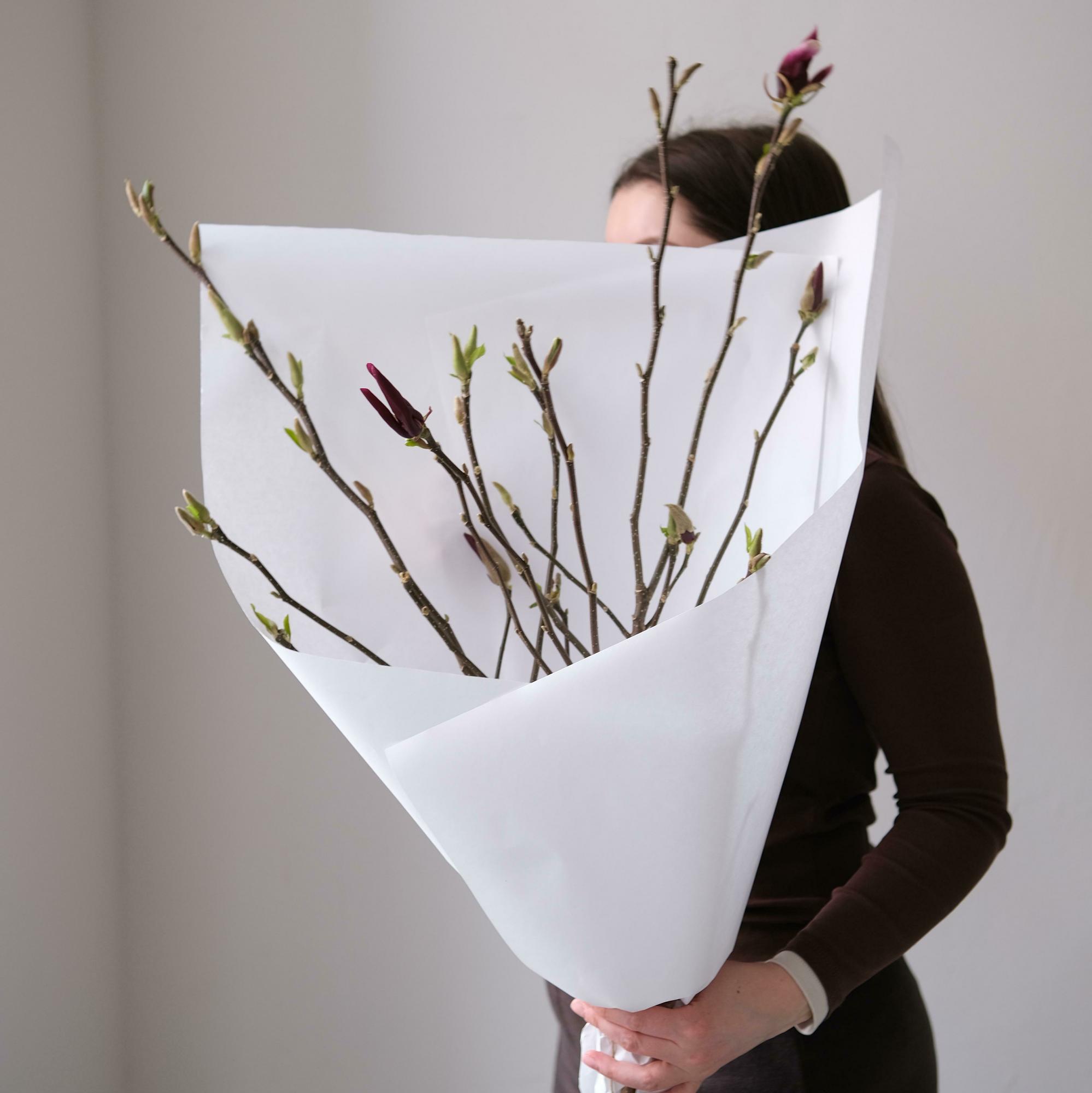 Моно веточек магнолии