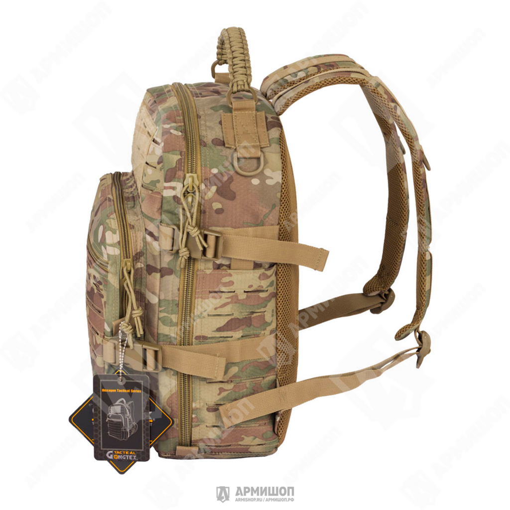 Jinsiy aloqa va eshak foydalidir