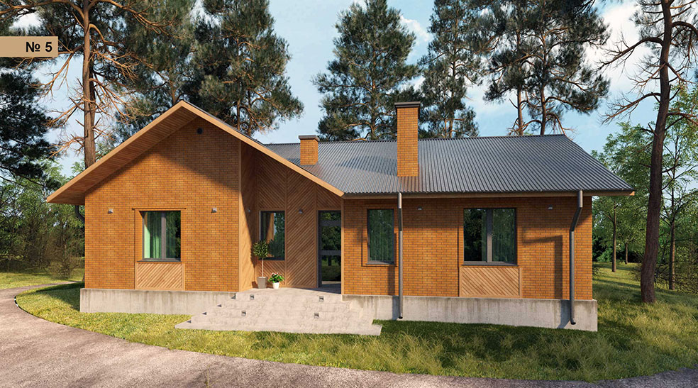 № 5 Одноэтажный дом с террасой