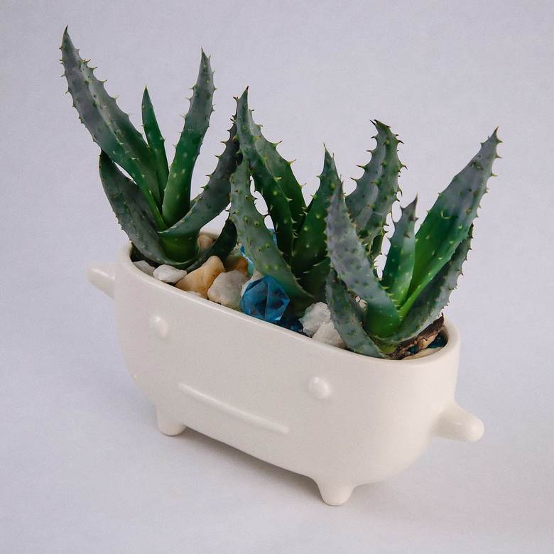 Алоэ в керамике 0027