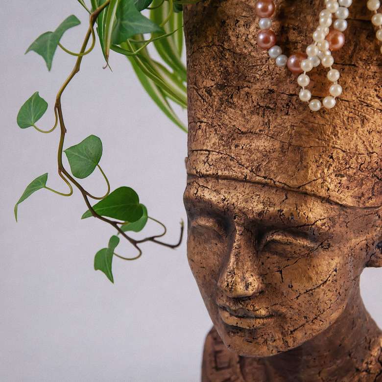 Спатифиллум 0029