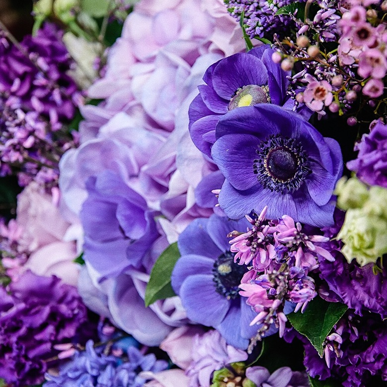 Авторский букет с гортензией, анемонами и гиацинтом 0068