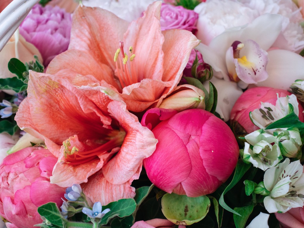 Нежная корзинка с пионами, розами, орхидеей, амарилисом и альстрамерией 0111