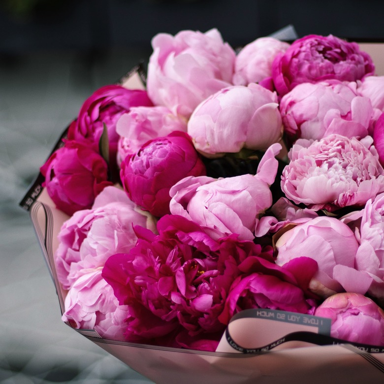 25 пионов 0132