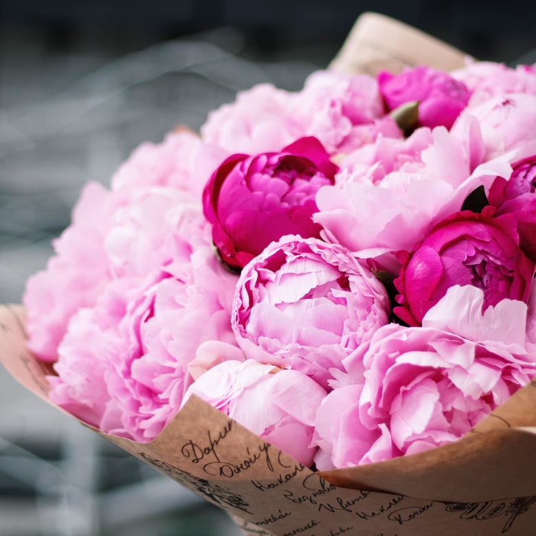 35 пионов 0133