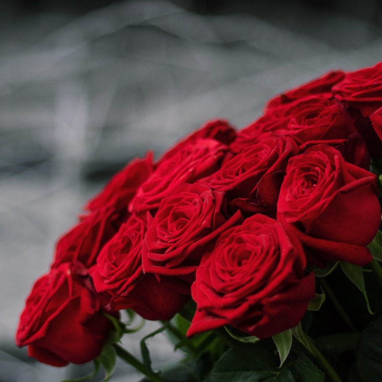 15 метровых роз 0134