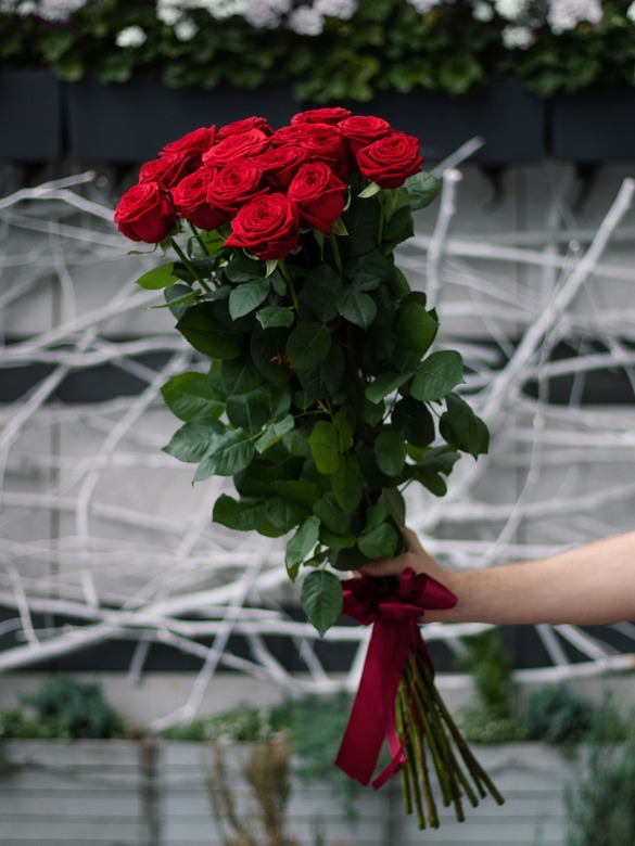 15 метровых роз 0134