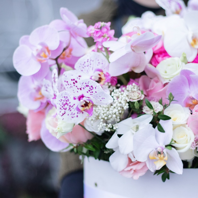 Коробка с орхидеей и белыми ягодами 0181