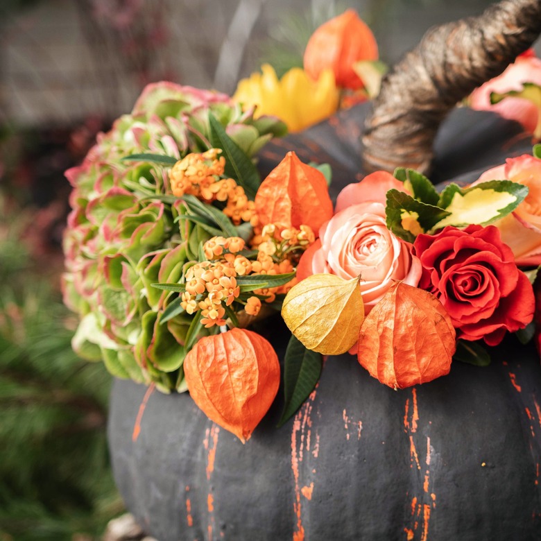 Авторская тыква 0286