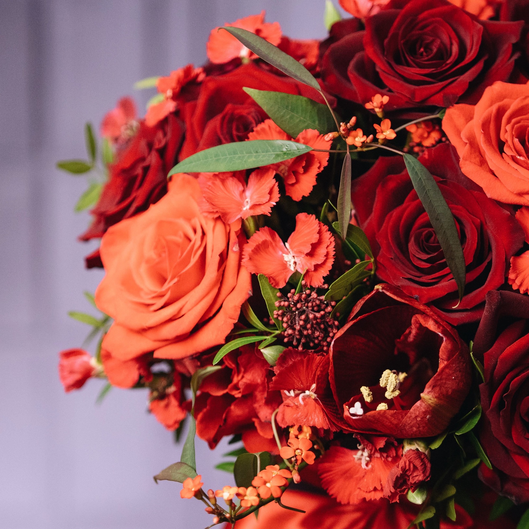 Коробка с амарилисом, розой и скинией 0308