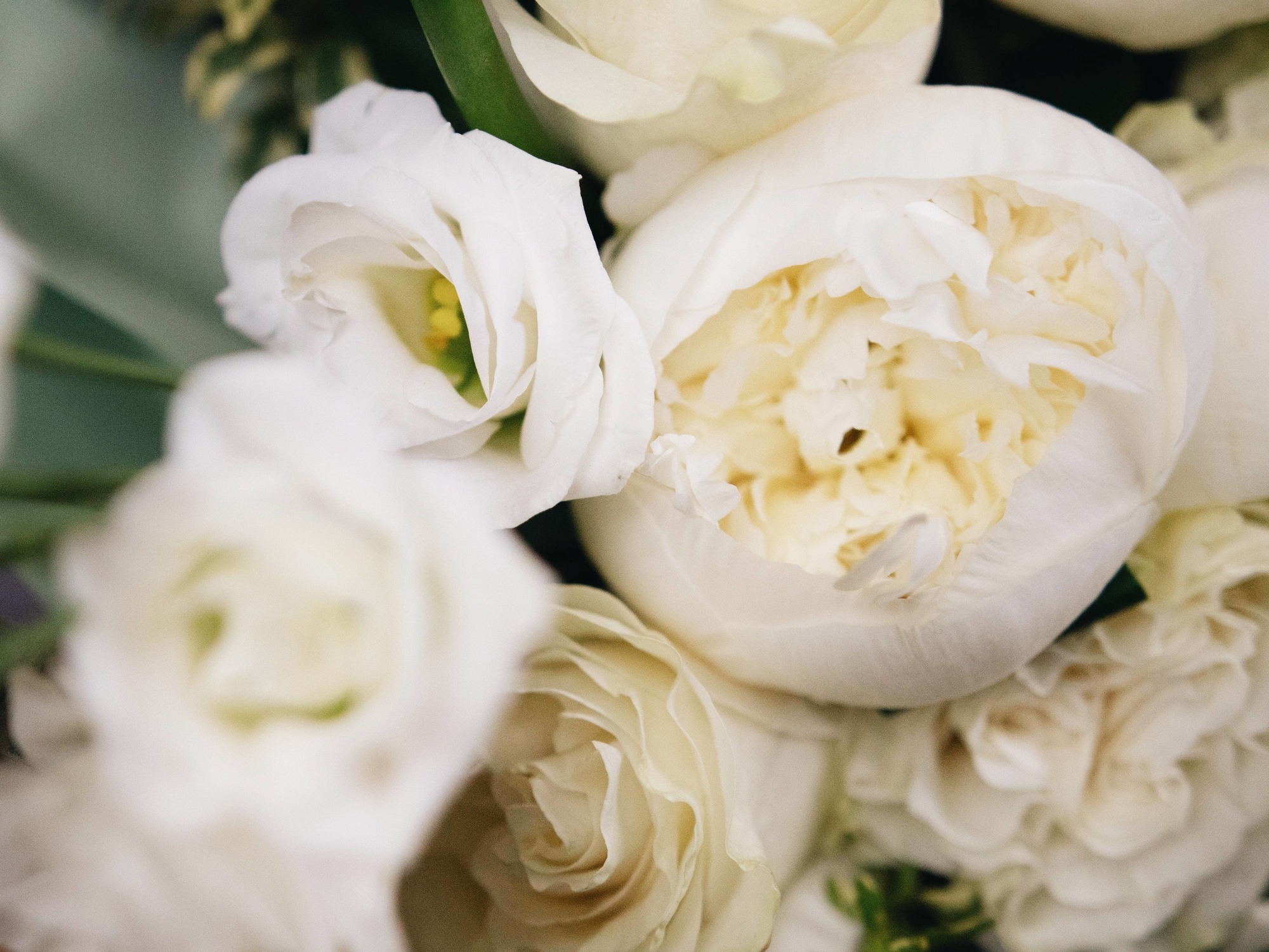 Букет с пионом, эустомой и гермини 0320