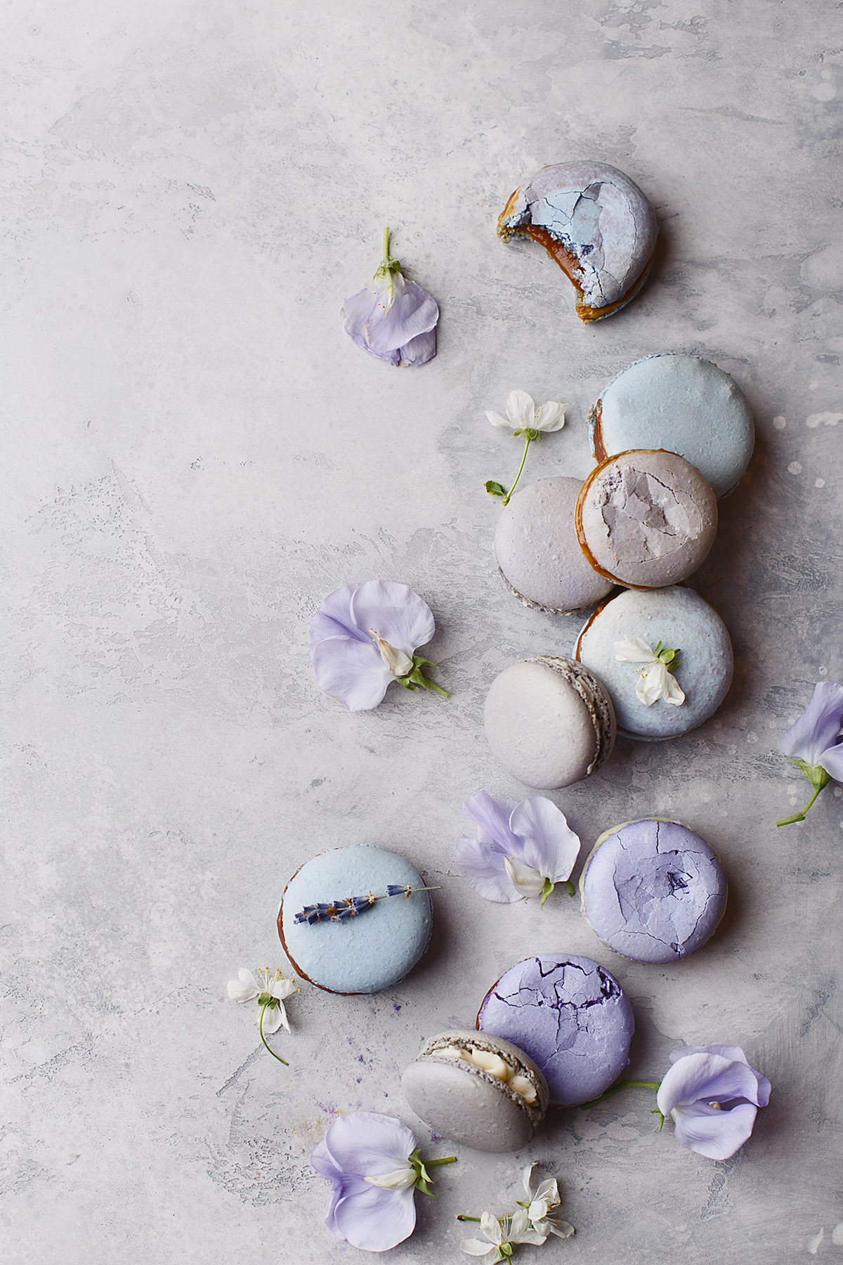 Backdrop "Basel / Lima"