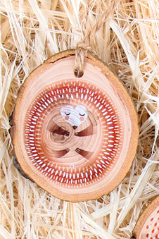 ИГРУШКА ИЗ СРЕЗОВ "ЁЖИК"