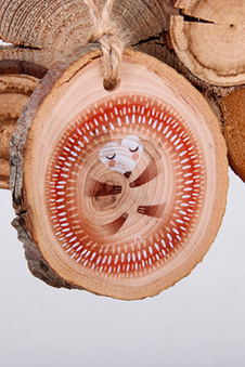 ИГРУШКА ИЗ СРЕЗОВ "ЁЖИК"