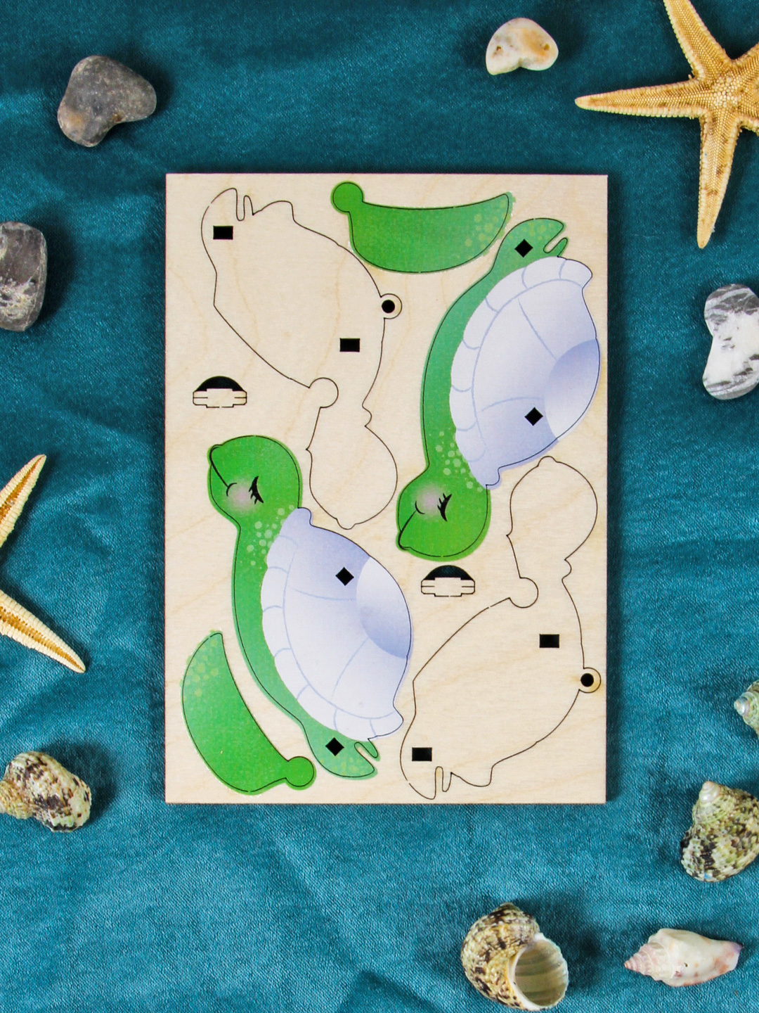 МОРСКАЯ ЧЕРЕПАХА