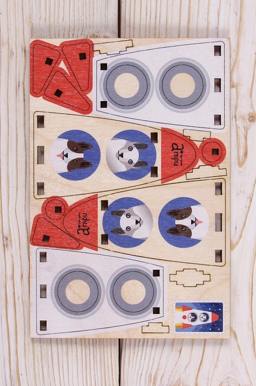 "БЕЛКА И СТРЕЛКА В РАКЕТЕ"