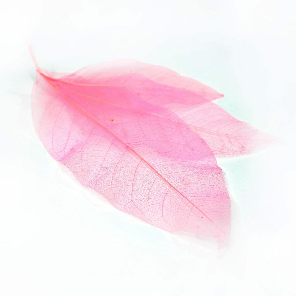 Leaves for airbrush and nail design