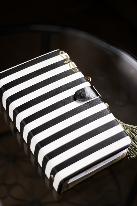 Планнер в полоску 2