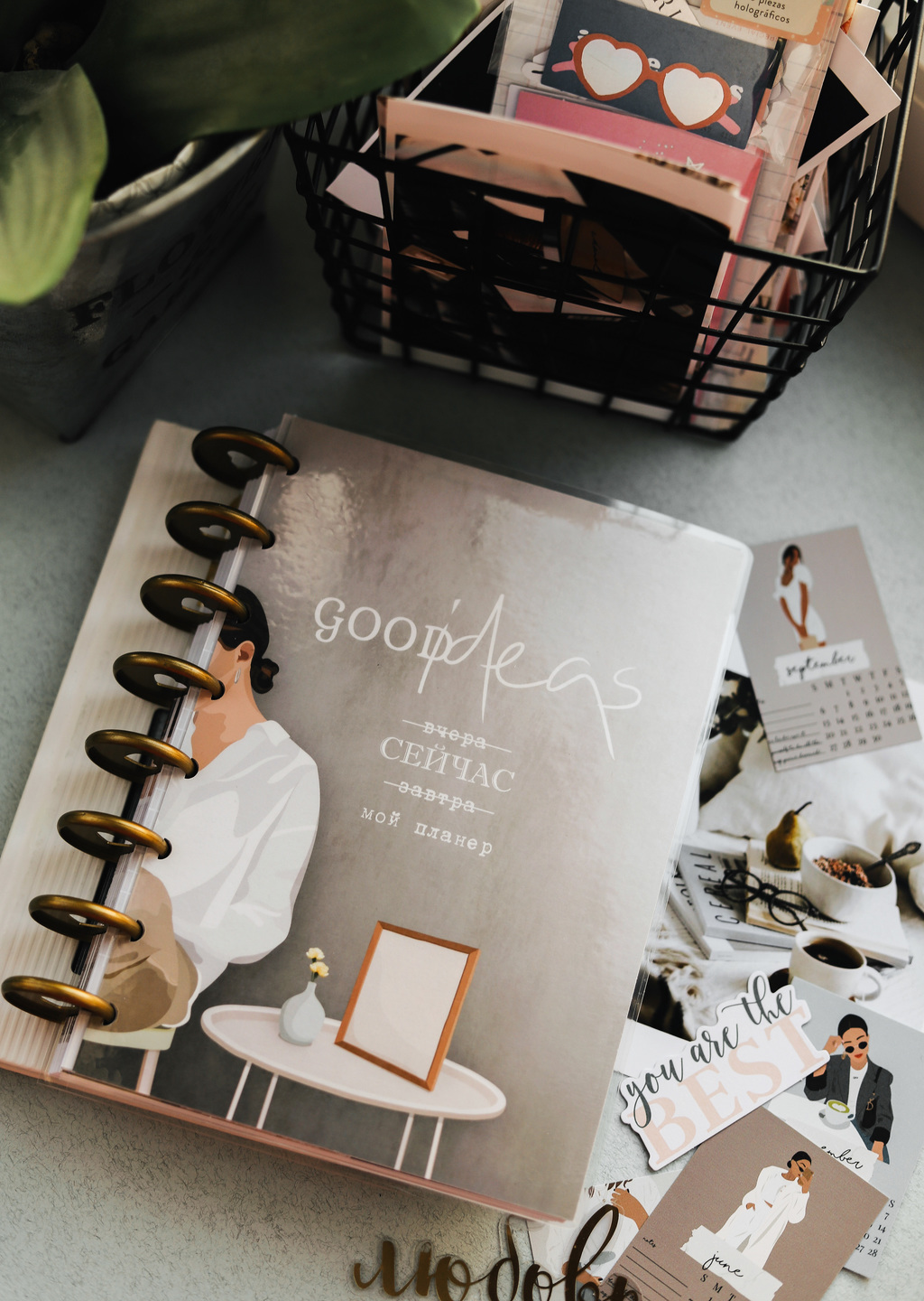 Планнер со съёмными дисками