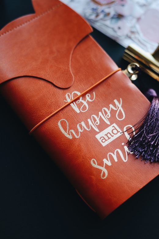 Мидори Лиса