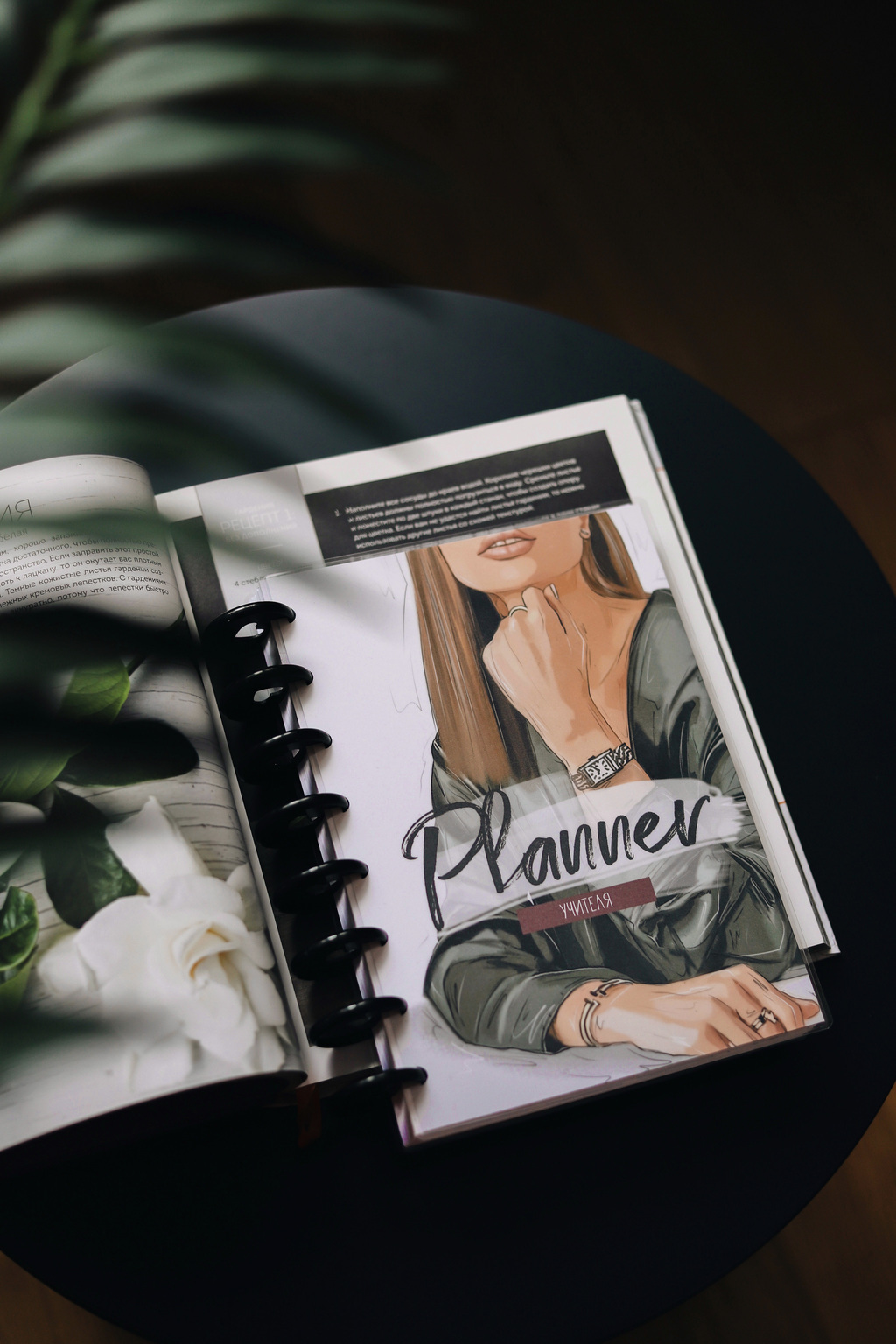 Ежедневник учителя на съёмных дисках