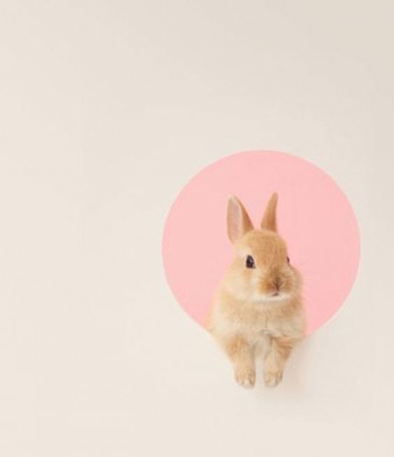 скрепка с подвеской