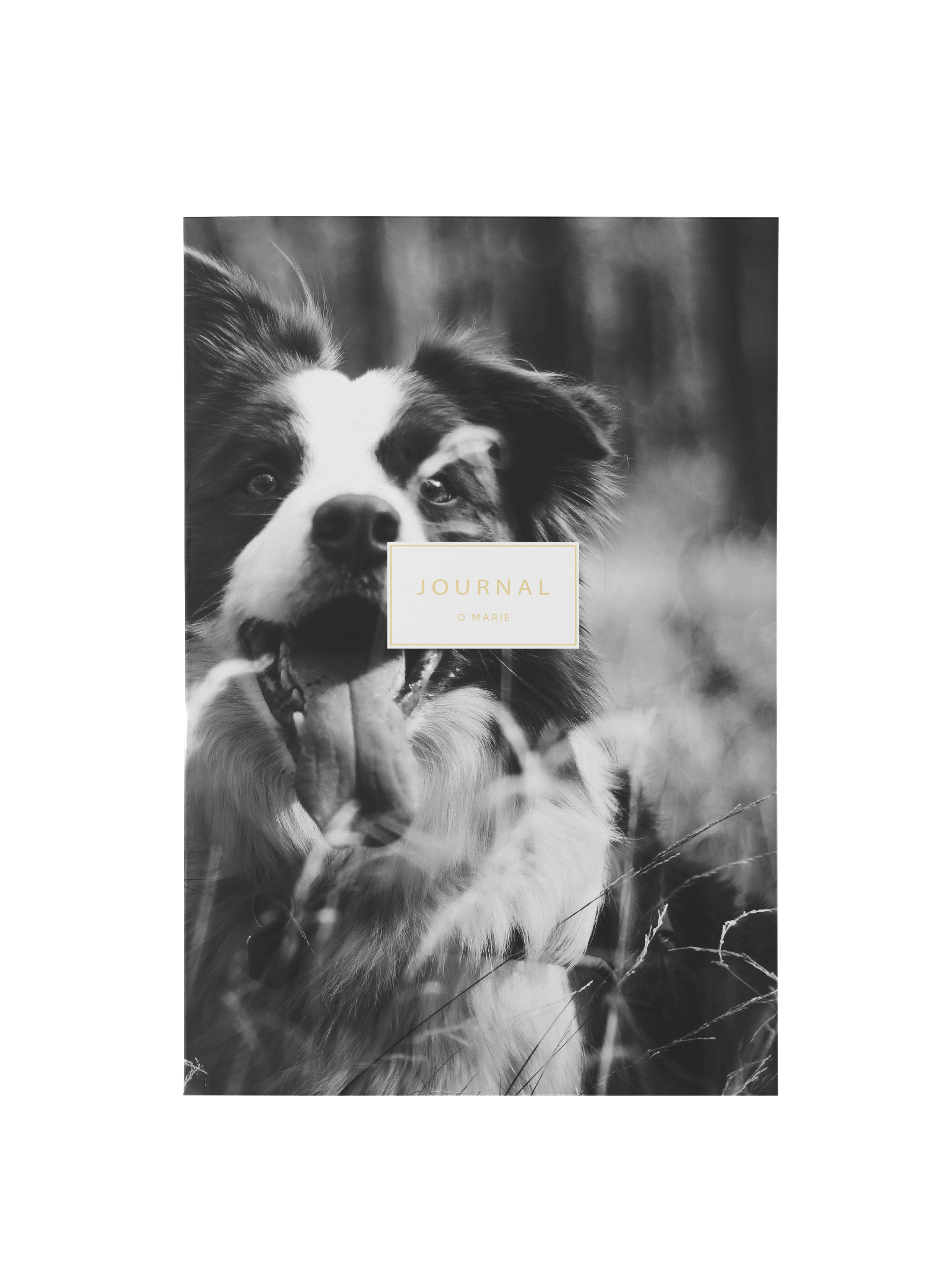 Блокнот в точку A5 Dog Lovers с дополнительной матовой обложкой