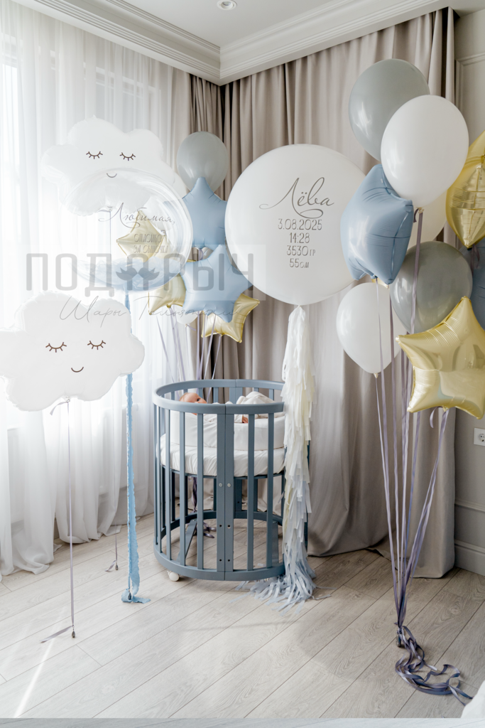 Шары на выписку