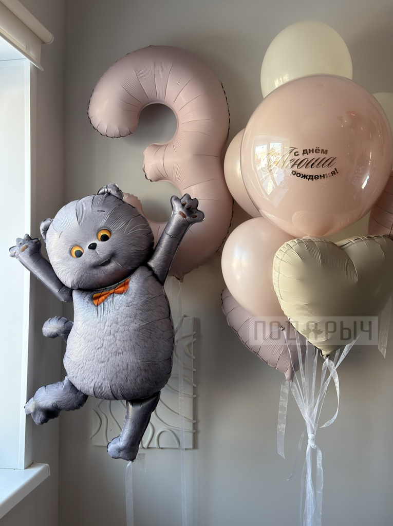 Сет шаров на день рождения