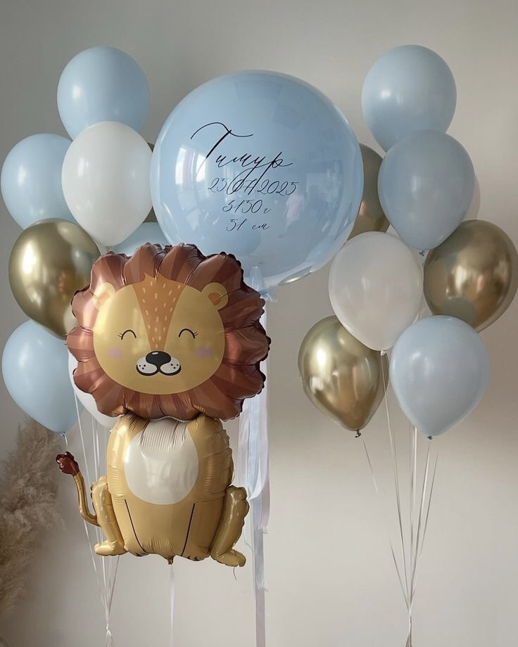 Сет шаров на выписку для мальчика