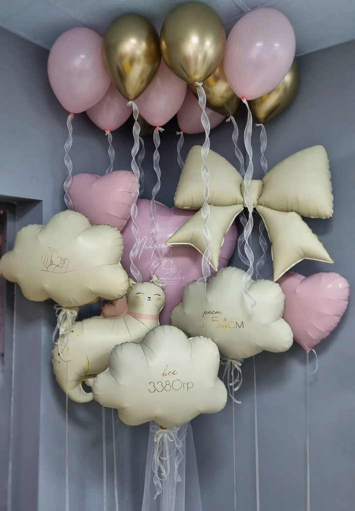 Cет шаров на выписку