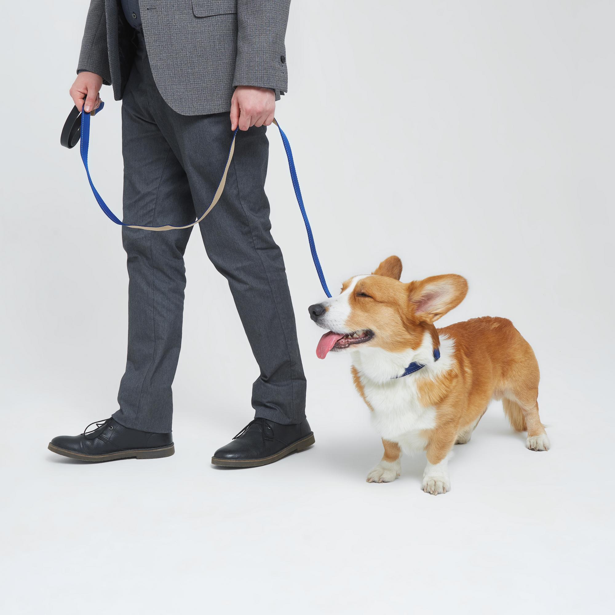 Поводок из стропы с кожаной ручкой сапфир и бежевый