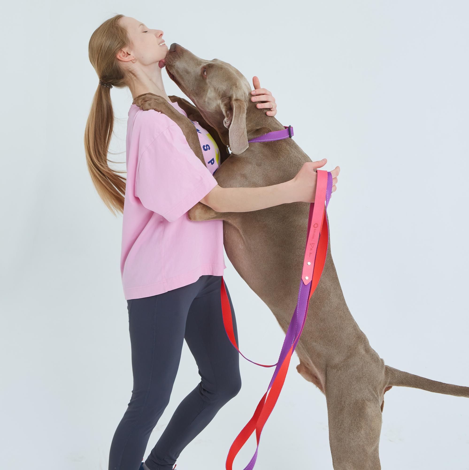 Поводок из стропы с кожаной ручкой рубин и пурпурный