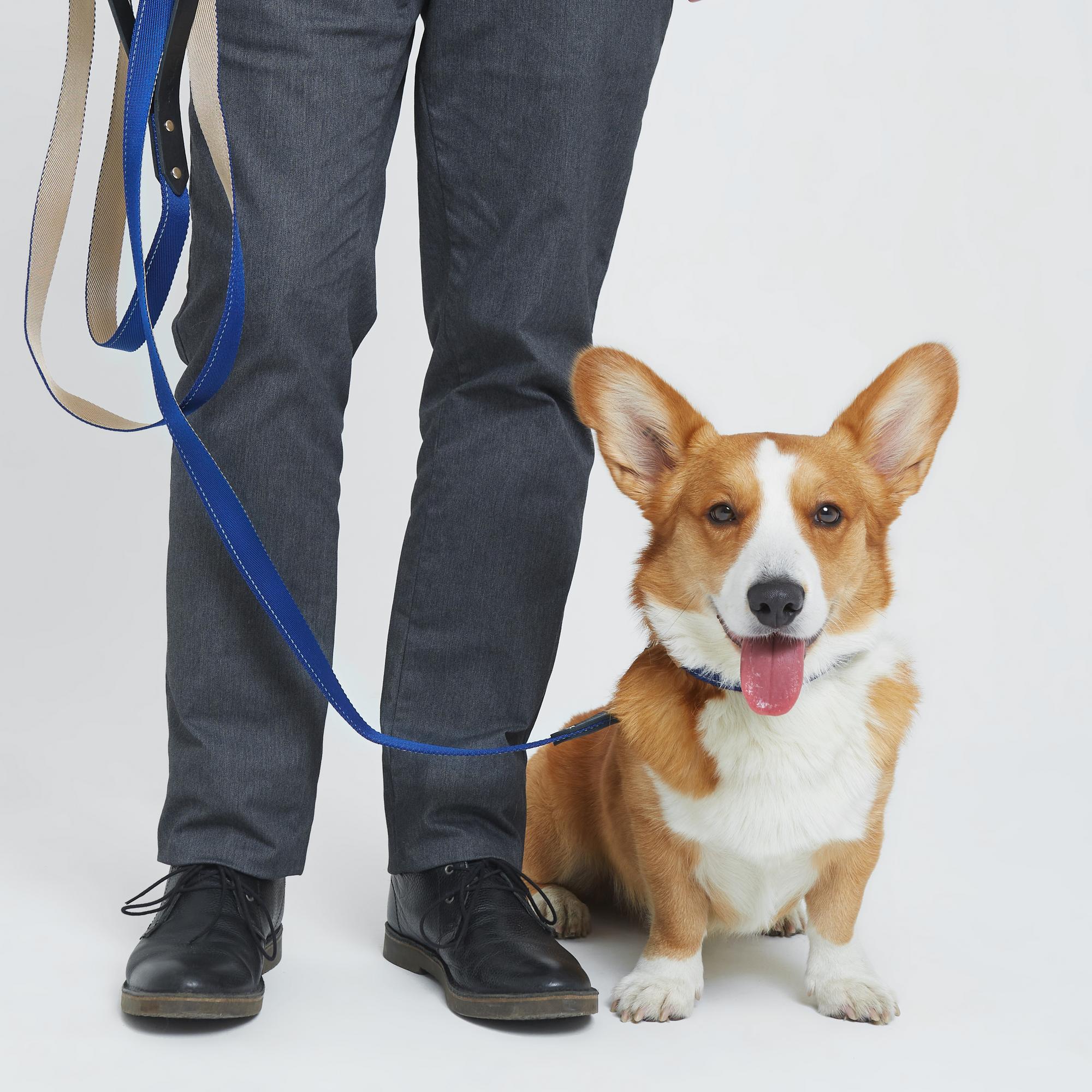 Поводок-петля 2-в-1 из стропы сапфир и бежевый